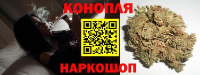 2c-b Кингисепп