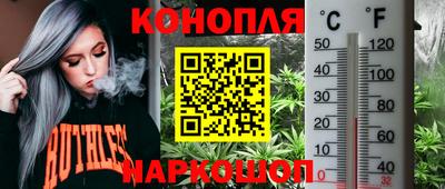 крисы Кимры