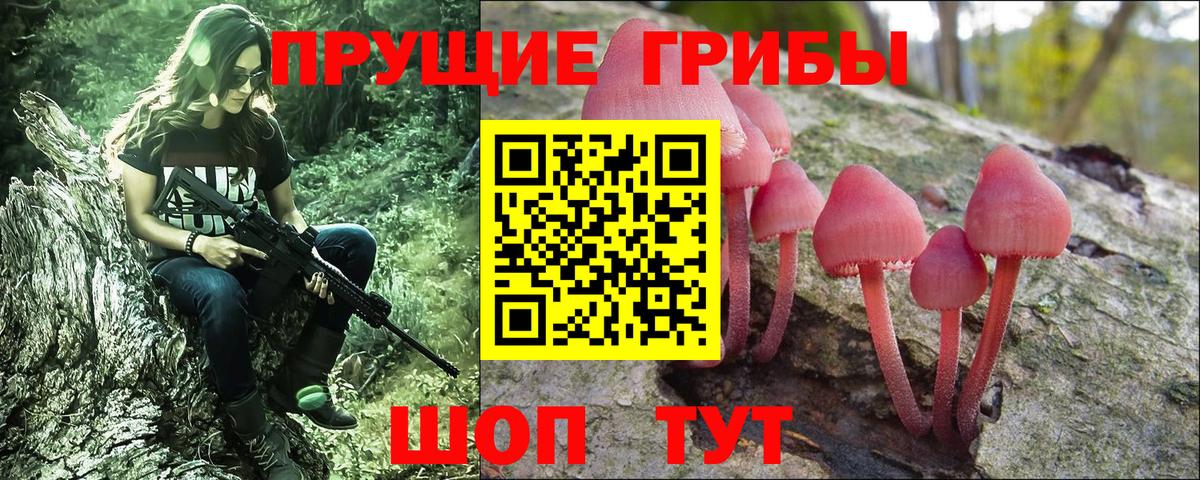 наркошоп  Галлюциногенные грибы Psilocybine cubensis  Клинцы  Вход с VPN  Псилоцибиновые грибы GOLDEN TEACHER 