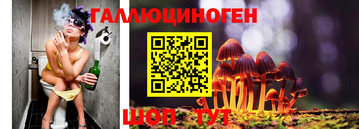 Псилоцибиновые грибы Cubensis Клинцы
